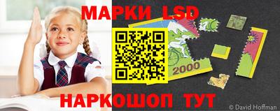 индика Партизанск